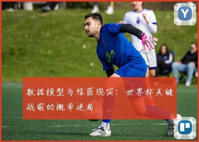 数据模型与绿茵现实：世界杯关键战前的概率迷局 - 球天下体育推荐