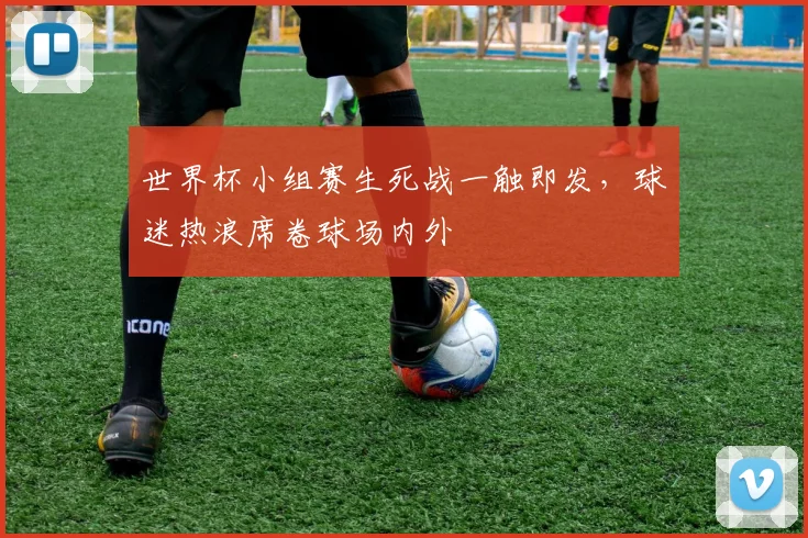 世界杯小组赛生死战一触即发，球迷热浪席卷球场内外 - 球天下体育推荐