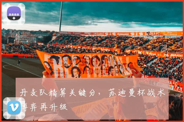 丹麦队精算关键分,苏迪曼杯战术博弈再升级 - 球天下体育推荐