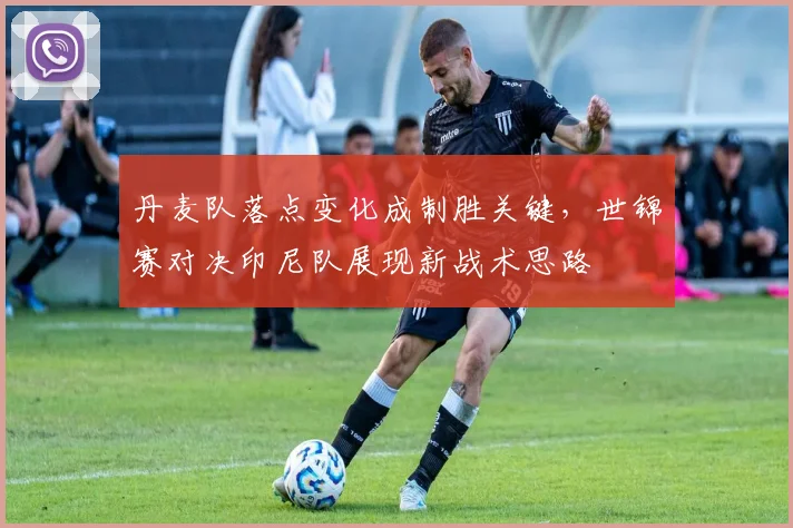 丹麦队落点变化成制胜关键，世锦赛对决印尼队展现新战术思路 - 球天下体育推荐