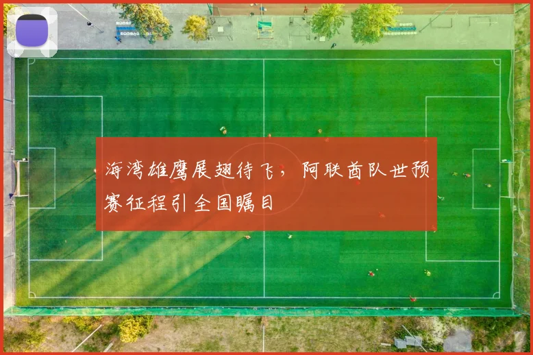 海湾雄鹰展翅待飞,阿联酋队世预赛征程引全国瞩目 - 球天下体育推荐