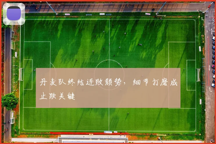 丹麦队终结连败颓势,细节打磨成止跌关键 - 球天下体育推荐
