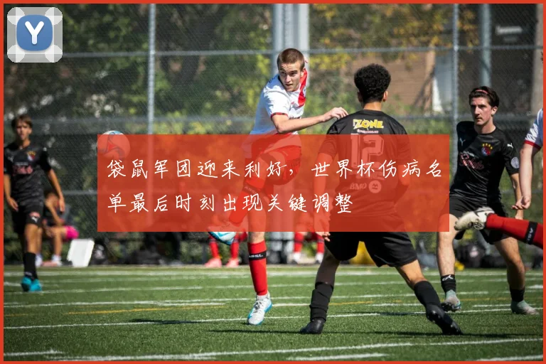 袋鼠军团迎来利好，世界杯伤病名单最后时刻出现关键调整 - 球天下体育推荐