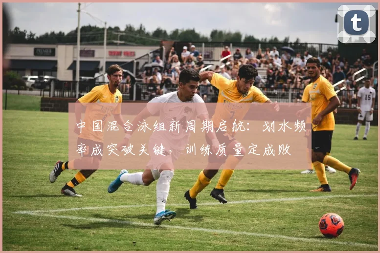 中国混合泳组新周期启航:划水频率成突破关键,训练质量定成败 - 球天下体育推荐